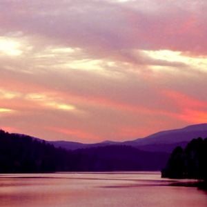 Meet your Posher, Jack